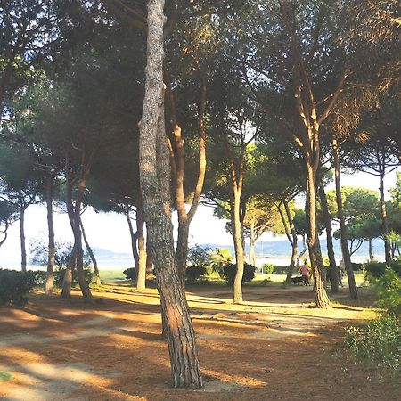 Résidence Le Lagon: Seaside Retreat with Mountain Views Argeles-sur-Mer Exterior photo