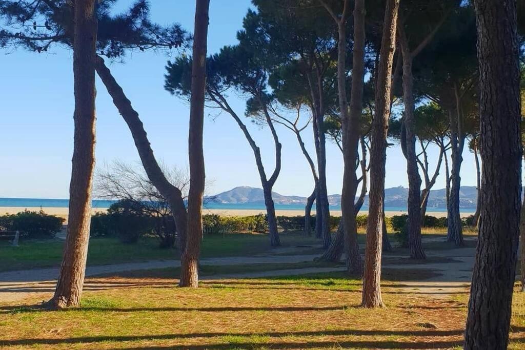 Résidence Le Lagon: Seaside Retreat with Mountain Views Argeles-sur-Mer Exterior photo